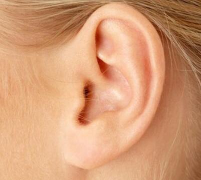 肋软骨做的耳朵能压吗(肋软骨的特点)