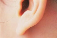 人造耳朵的优缺点(什么是人造耳朵？)