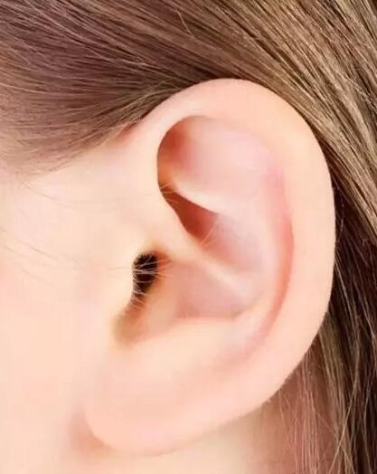 耳朵里汗毛长是怎么了(为什么有的人耳朵里会长汗毛？)