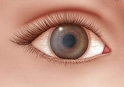 治疗黑眼圈眼袋方法(治疗黑眼圈眼袋最有效的方法)