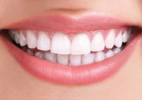 半固定义齿有几种分类(固定义齿有几种类型)